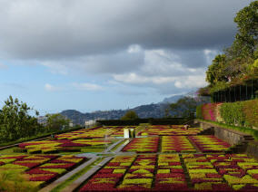 Der Botanische Garten