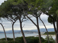 Auf der Insel Ste-Marguerite 