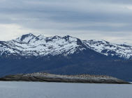 Insel der Kormorane 