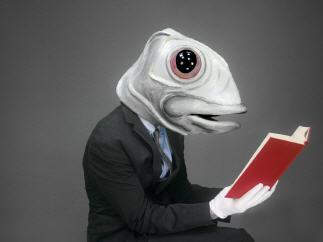 Geteiltes Foto als Bildlink