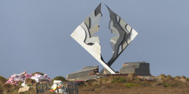  Der renovierte Albatros