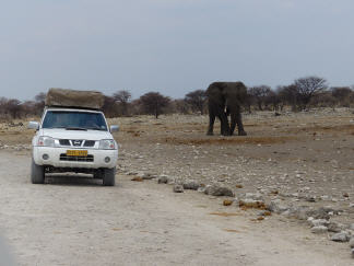 Immer in den R&uuml;ckspiegel schauen