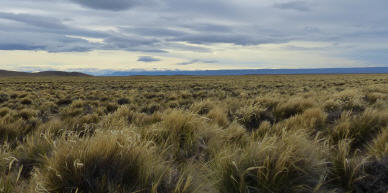 Die Weiten der Pampa